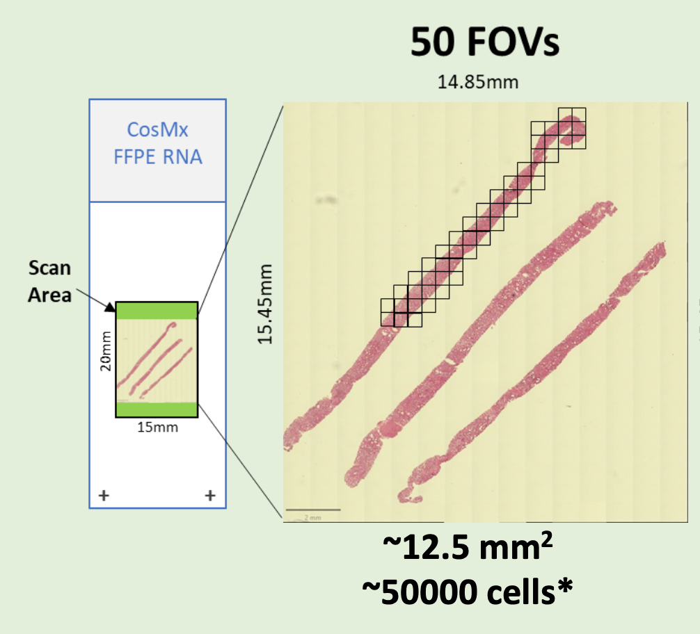 Slide with FOVs